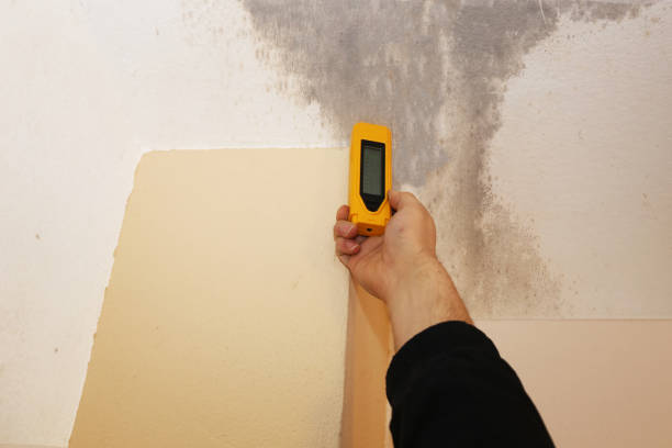 Best Mold Documentation for Insurance Claims  in Franklin, PA
