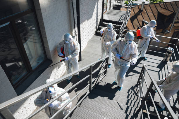 Trusted Franklin, PA Mold Removal Experts
