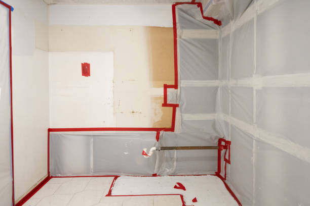 Best Environmental Consulting for Mold Prevention  in Franklin, PA