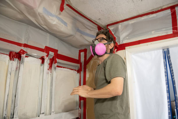 Best Mold Removal for HVAC Installations  in Franklin, PA