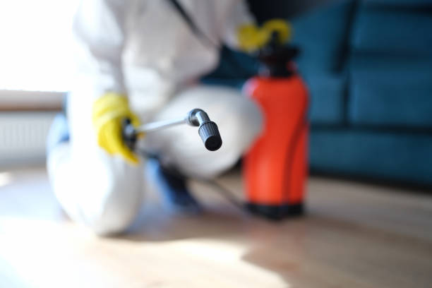 Best Real Estate Mold Inspection  in Franklin, PA